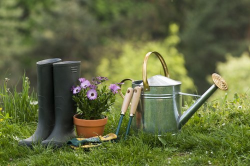 Hornsey garden showcasing native plants and sustainable practices