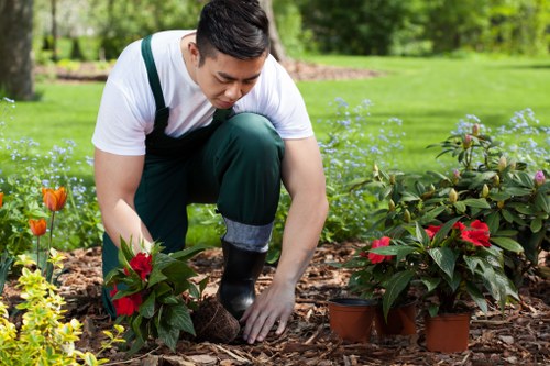 Image of a technician preparing a pressure washer unit in Hornsey
