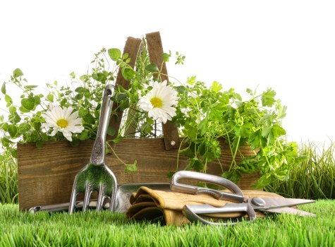 Eco-friendly landscape gardening elements in a Hornsey garden